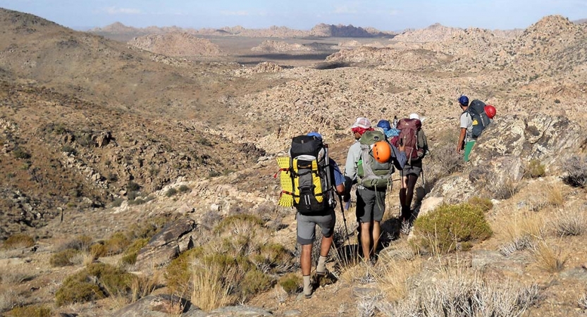 A group of adults wearing backpacks hike through the desert landscape of Joshua Tree National Park. 